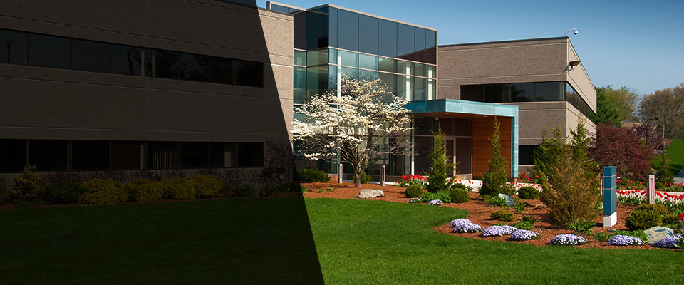 Needham Heights Landscapers