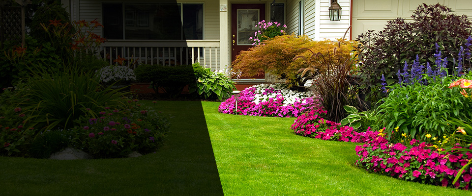 Needham Heights Landscapers