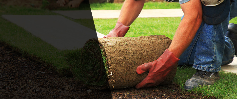 Needham Heights Landscapers